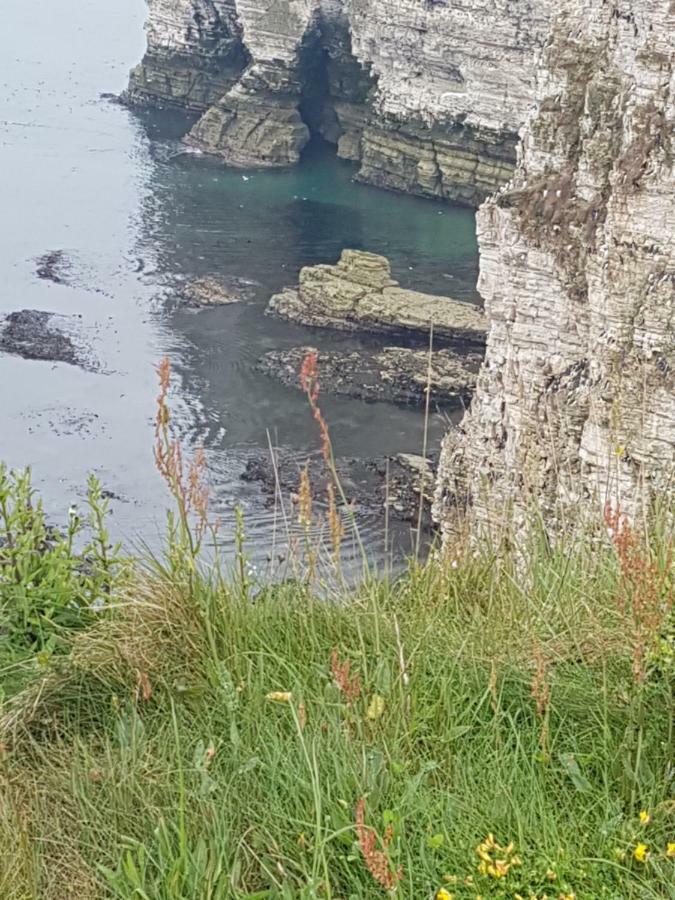 Cameron Court B&B Flamborough Kültér fotó